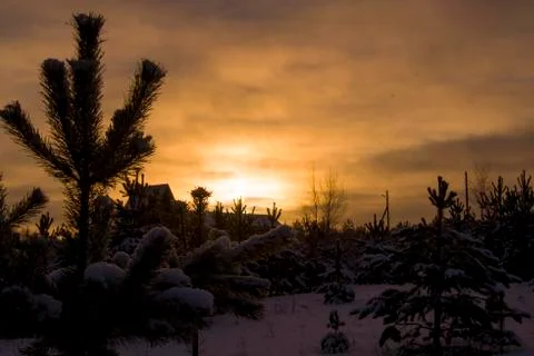 Russian winter Stock Photos