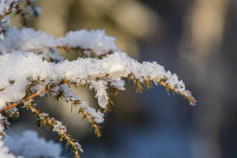 Russian winter Stock Photos