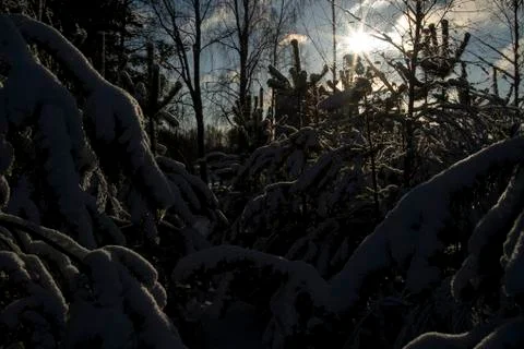 Russian winter Stock Photos