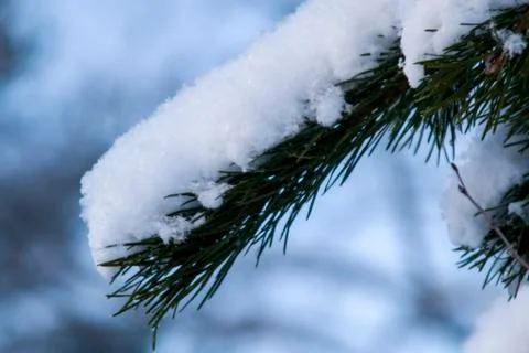 Russian winter Foto stock