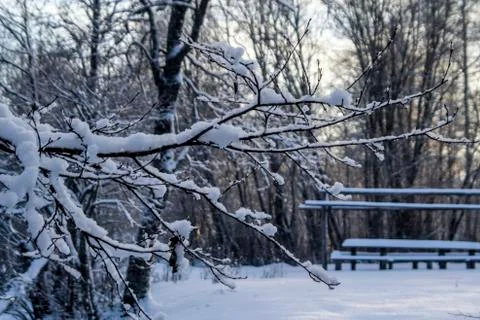 Russian winter Foto stock