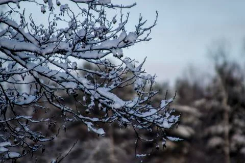 Russian winter Stock Photos