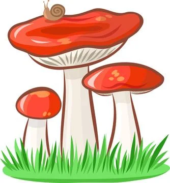 Russula mushroom vector image without background Illustrazione stock