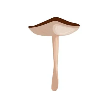 Russula on a white background vector illustration Stock Illustration