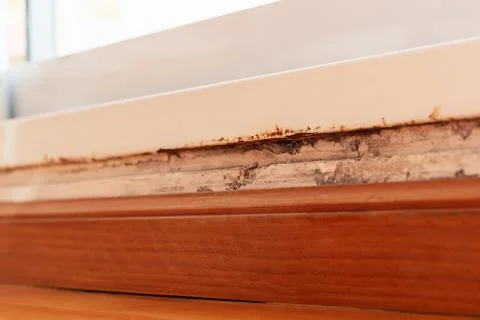 Rust and mildew on a wall above the wood baseboard Stock Photos
