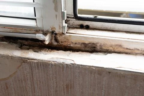 Rust and mold on PVC window. Poor quality window installation. Poor quality.. Stock Photos