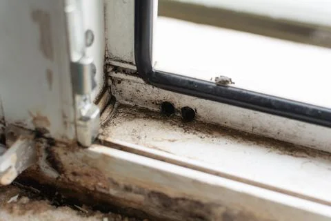 Rust and mold on PVC window. Poor quality window installation. Poor quality.. Stock Photos