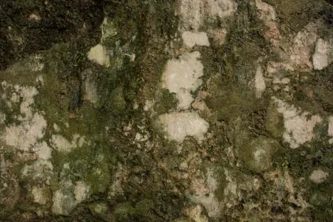 Rust and moss on an aged wall Stock Photos