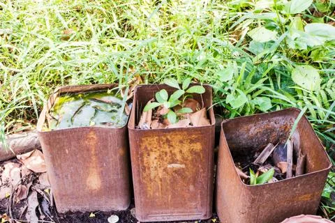 Rust bucket Stock Photos