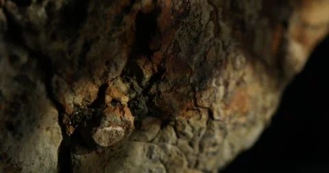 Rust-Colored Natural Rocky Surface Close-Up Stock Footage 290767336