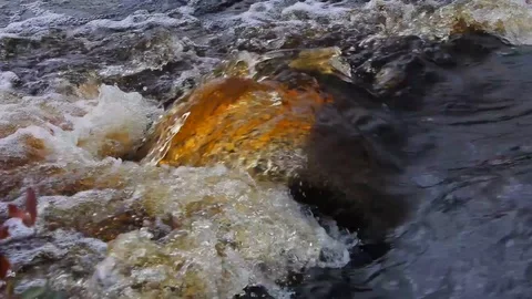 Rust coloured water rushing up over a rock Stock Footage 93782575