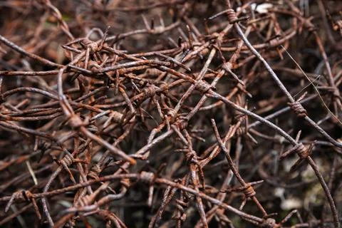 Rust-covered barbed wire tangled together, showcasing aged metal, sharp edges 스톡 사진