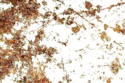 Rust isolated on a white background. texture for the designer Stock Photos
