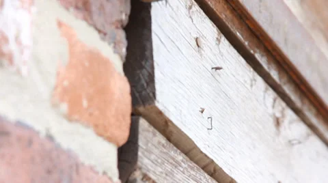 Rust, Metal and Wood Textures Stock Footage 33756323
