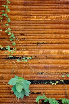 Rust Metal door texture Stock Photos