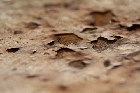 Rust on a metal railing, white, textures Stock Photos