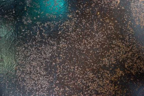 Rust metal texture background,empty template. 스톡 사진