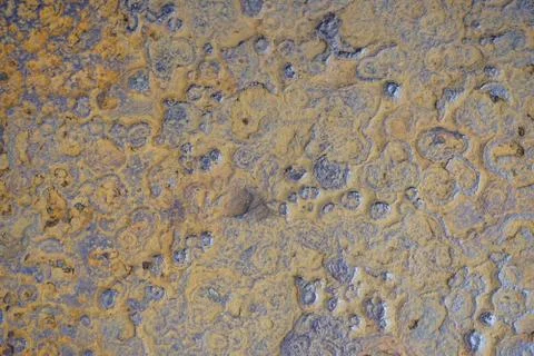 Rust Stock Photos