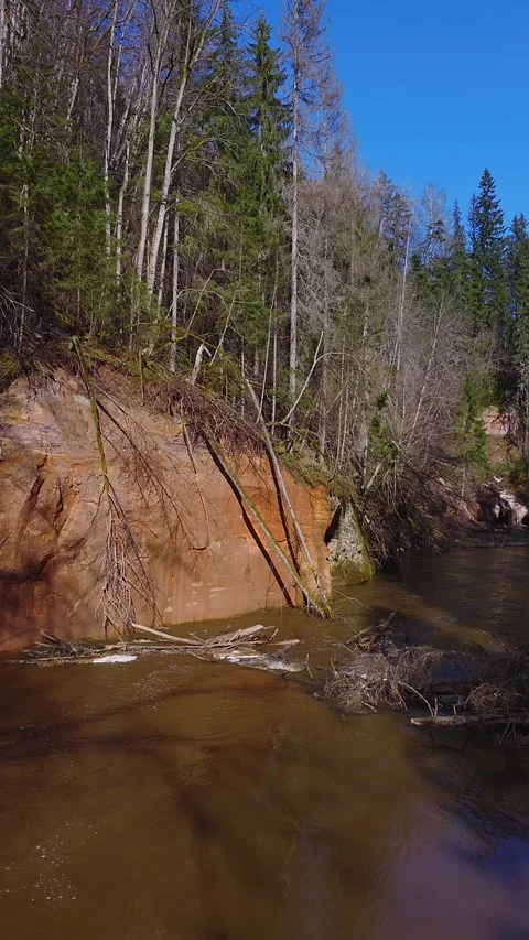 Rust red sandstone river cliffs and boreal forest, Latvia, midday Stock Footage 331152537