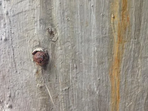 Rust screw on old concrete texture for background 스톡 사진