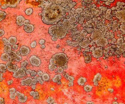 Rust spot background Stock Photos