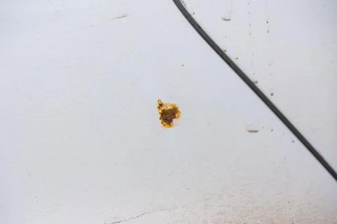 Rust stain on the wing of a car Stock Photos