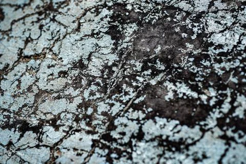 Rust texture on corroded metal surface. Rust background with iron. Rusty me.. Stock Photos