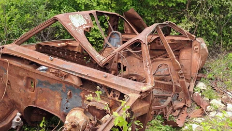 Rusted and destroyed car wreck abandoned in forest green bushes Stock Footage 337552196