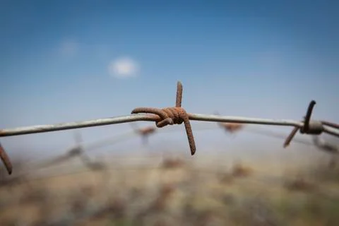 Rusted barb wire Stock Photos