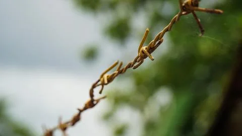 Rusted Barbed Wire with Sharp Spikes Against a Soft Green Backdrop Stock Photos