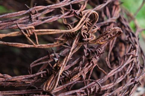 Rusted barbwire Stock Photos