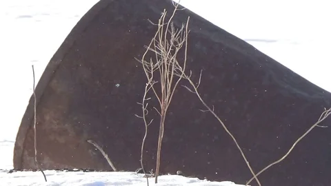 Rusted barrel in the snow Stock Footage 75825296