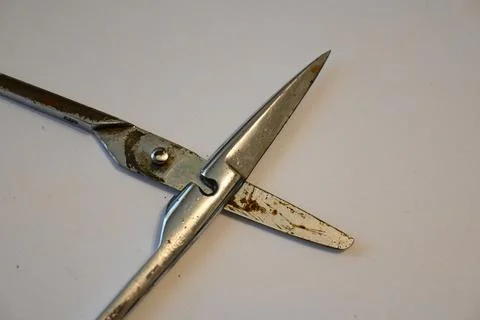 Rusted broken scissors on a white surface 스톡 사진