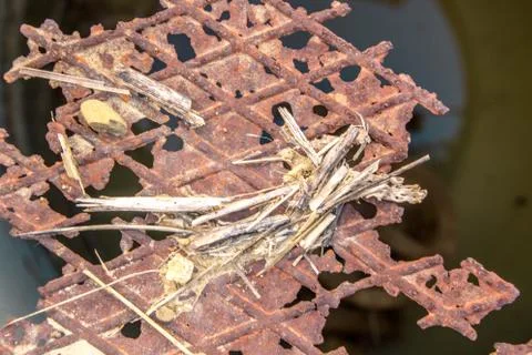 Rusted Cover 写真素材