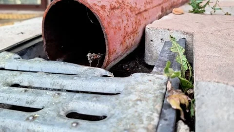 Rusted Drainage Pipe Discharging Water into an Old Metal Street Grate Vídeos de archivo 346677905