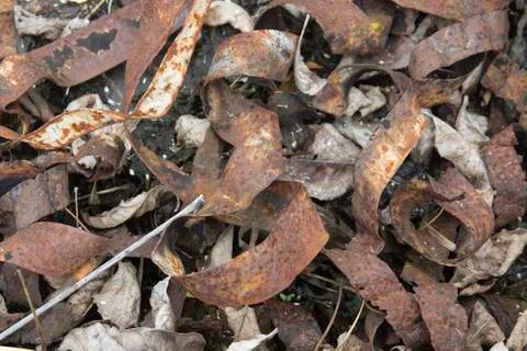 Rusted Iron straps Stock Photos