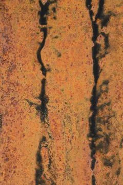 Rusted iron texture for background and graphic elements Foto stock