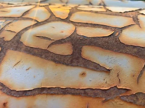 Rusted iron texture Stock Photos