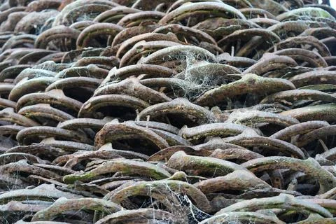 Rusted Metal Objects With Cobwebs And Moss In Scarrington, Nottinghamshire, Stock Photos