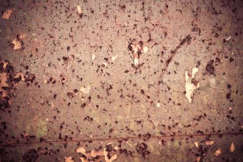 Rusted metal surface Photos