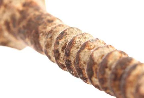 Rusted old screw isolated Stock Photos