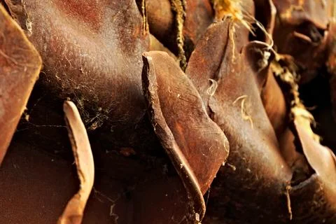 Rusted pieces of torn metal. Stock Photos
