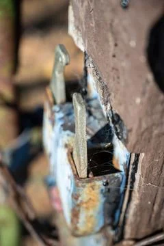 Rusted rural gate latch on paddock fence gate Stock Photos