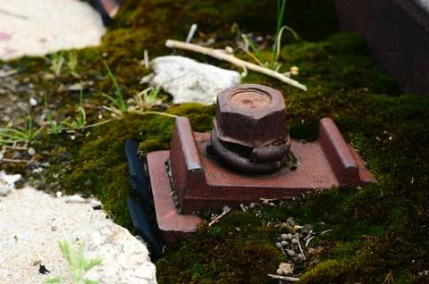 Rusted screw Stock-Fotos