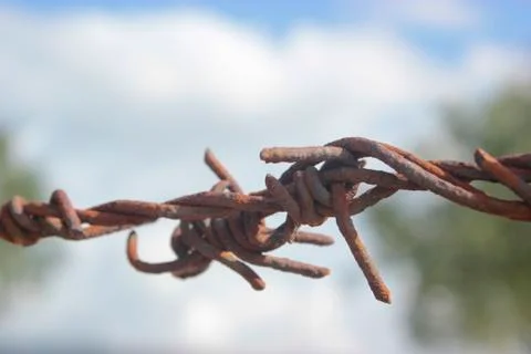Rusted single barwire Stock Photos