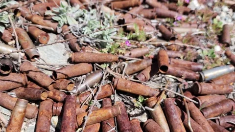 Rusted used AK-47 shells on ground with pink flowers Stock Footage 237731210