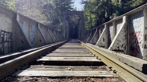 Rustic Abandoned Railroad Bridge Surrounded by Forest Stock Footage 317017411
