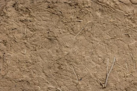 Rustic adobe wall with plant stems - texture and full-frame background 写真素材