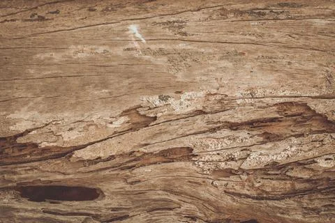 Rustic Aged Wood Background Texture Stock Photos