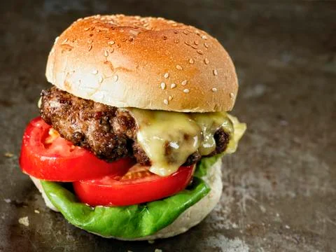 Rustic american hamburger Stock Photos